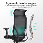 Sedia da ufficio ergonomica in rete certificata BIFMA con cuscino da 3,5 pollici, supporto lombare regolabile, braccioli ribaltabili, capacità 330 libbre