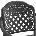 Set of 2 Cast Aluminum Patio Dining Chairs, Black Rust Resistant Frame with Water Resistant Cushions
