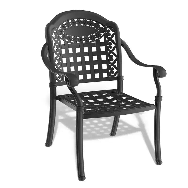 Set of 2 Cast Aluminum Patio Dining Chairs, Black Rust Resistant Frame with Water Resistant Cushions