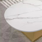 Ceramic Surface Coffee Table with Contemporary Stainless Steel Base  Durable and Elegant Showpiece for Living Room