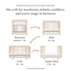 Babyletto Yuzu 8-in-1 Convertible Crib with All-Stages Conversion Kits