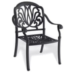 Set of 2 Cast Aluminum Patio Dining Chairs, Black Rust Resistant Frame with Water Resistant Cushions