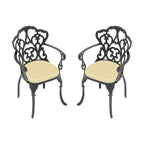 Set of 2 Cast Aluminum Patio Dining Chairs, Black Rust Resistant Frame with Water Resistant Cushions